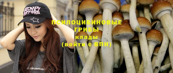 jwh Алзамай
