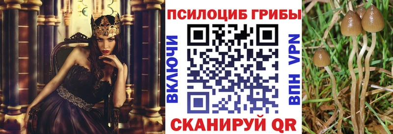 Псилоцибиновые грибы MAGIC MUSHROOMS  kraken ссылки  Ивдель  купить  